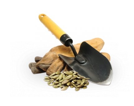 gardening tools.jpg